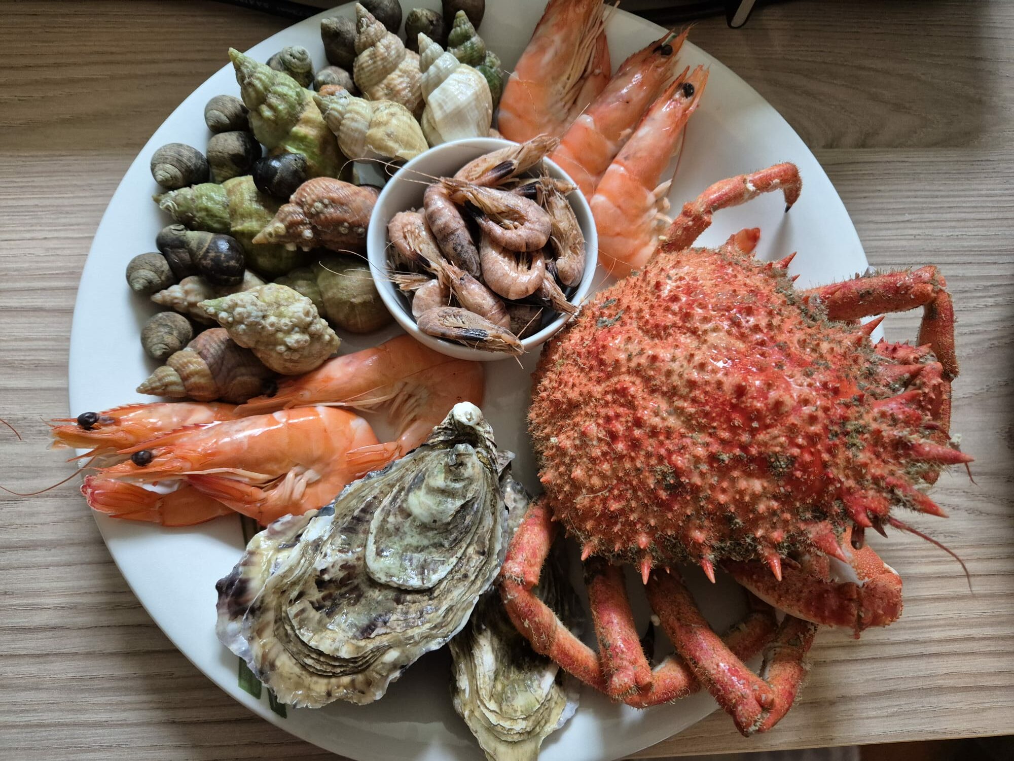 WhatsApp Image 2025-10-01 at 10.41.16